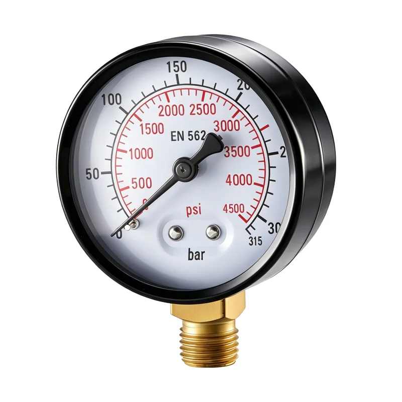 Explosion-Proof Pressure Gauge - Type 2
