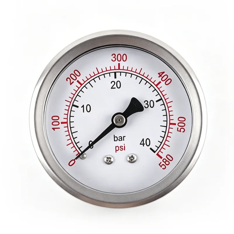 Stainless Steel Pressure Gauge - Axial